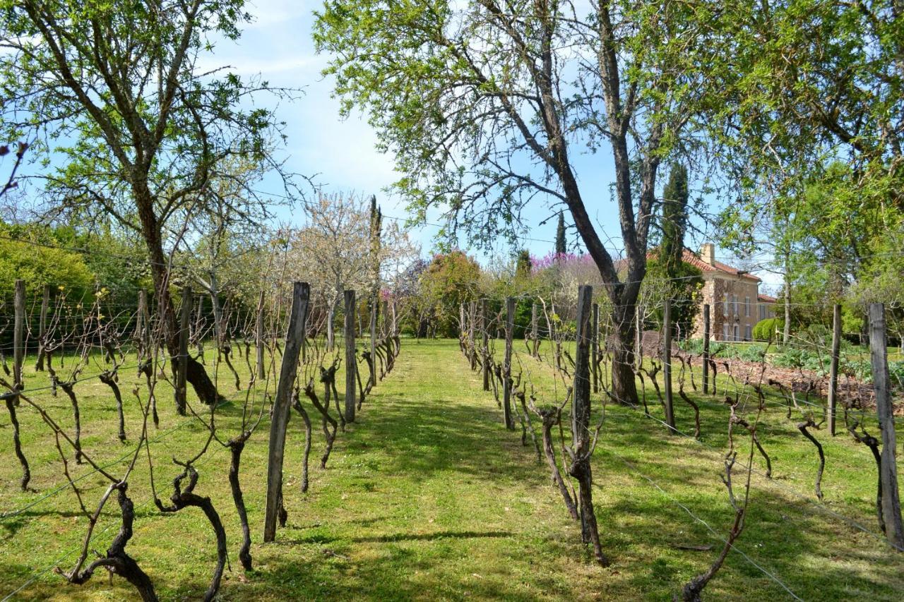 Chambre D'Hote Au Domaine Terre De Chenes Saint-Paul-de-Baise Dış mekan fotoğraf