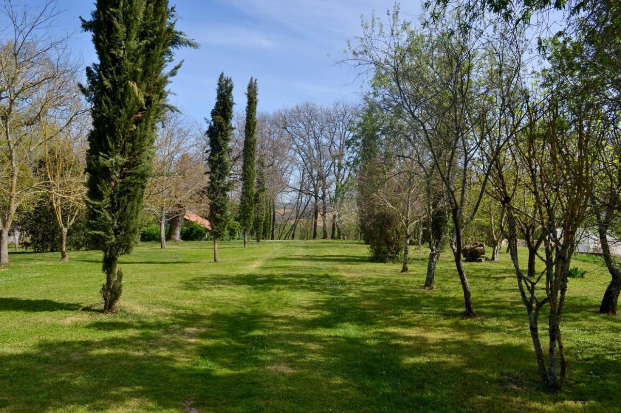 Chambre D'Hote Au Domaine Terre De Chenes Saint-Paul-de-Baise Dış mekan fotoğraf